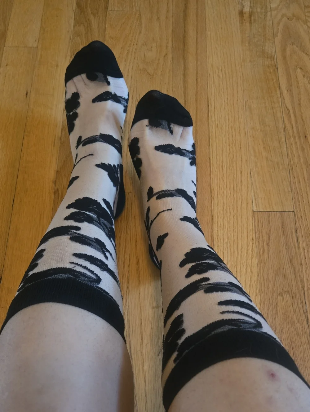 Women's Black And Sheer Floral Nylon Socks